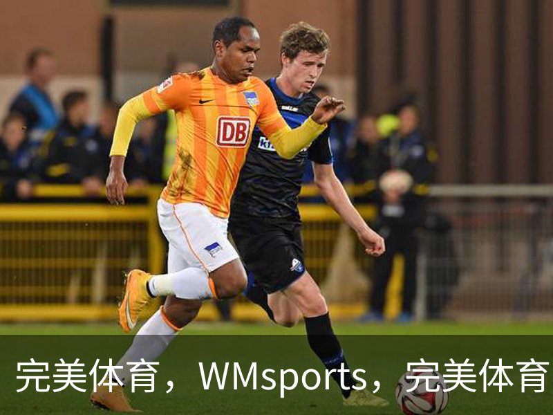 关于完美体育，WMsports，完美体育官方，完美体育平台，完美体育下载